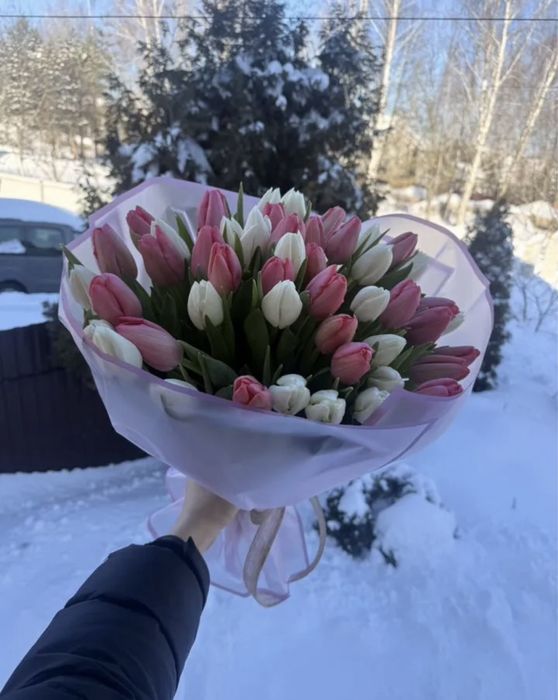 Тюльпаны красивые, высокие