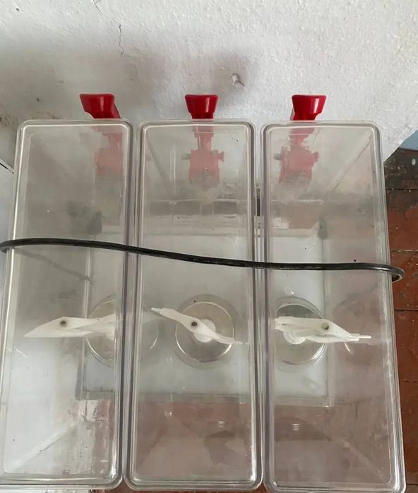 Сок апарат жаңа күнінде