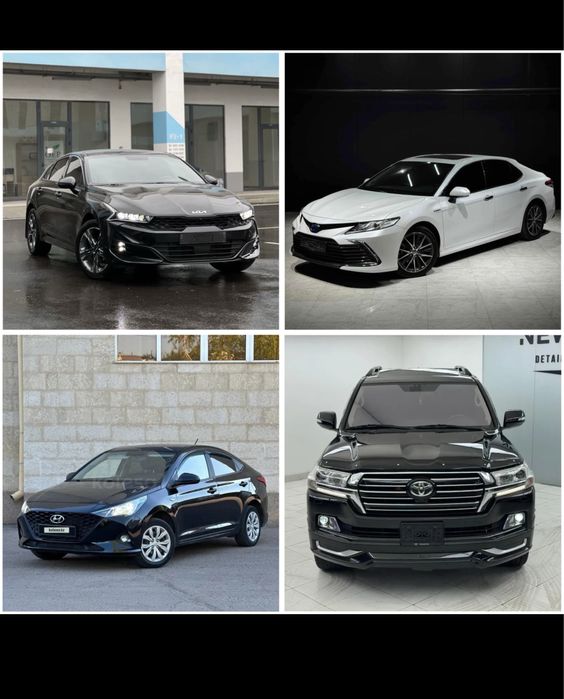 Аренда авто Недорого на выбор