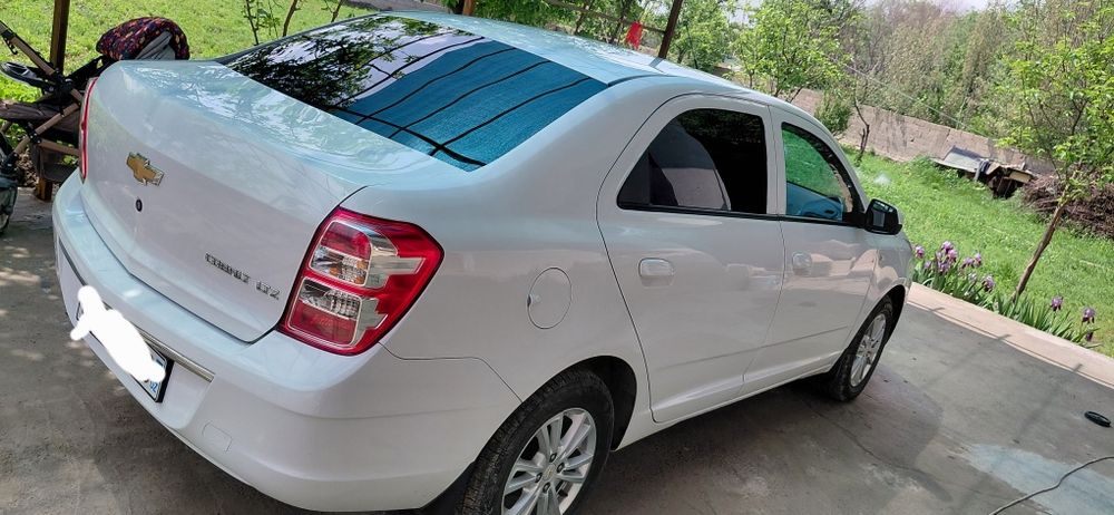 Other Cobalt 2024 — 5