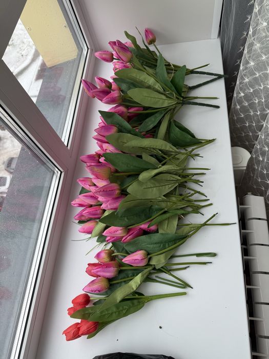 Цветы тюльпаны для декора