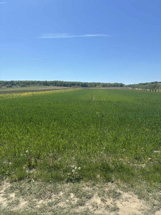 Vand teren extravilan Somcuta mare 400e/ ar