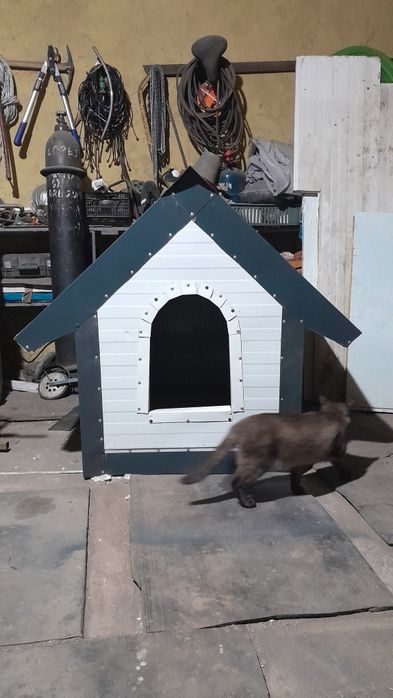 Vând cușcă câine