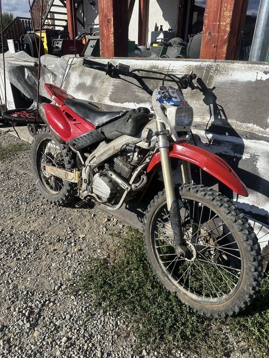 Cross zonghsen(americana) 250