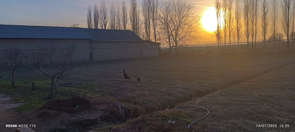 Uchastka sotiladi10 soth