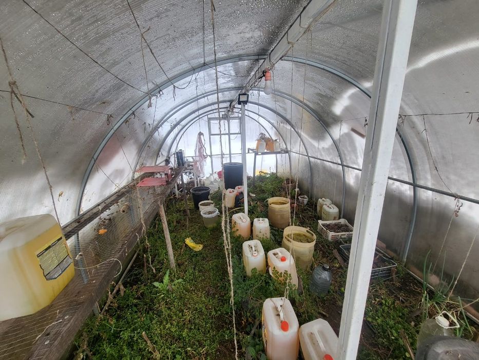 Теплица разборная поликарбонат