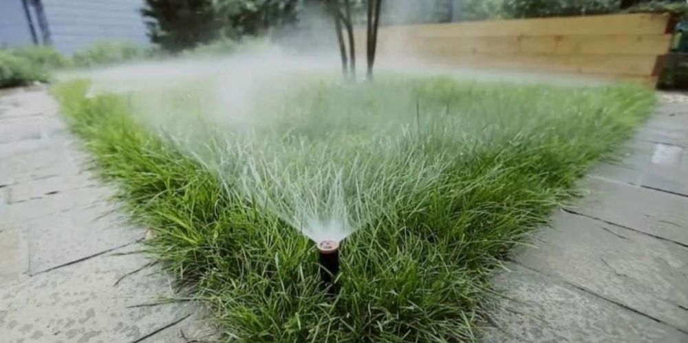 Газон посевной рулонный