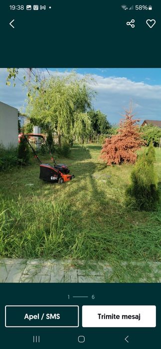 tund iarba/gazon tund gard viu/taiere copaci curatenie outdoor