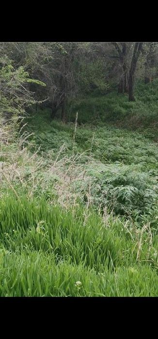 Продам земельный участок