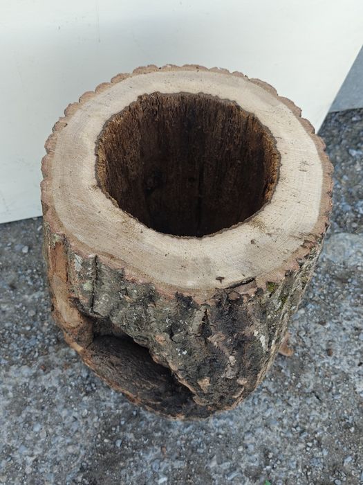 Хралупа различни видове.