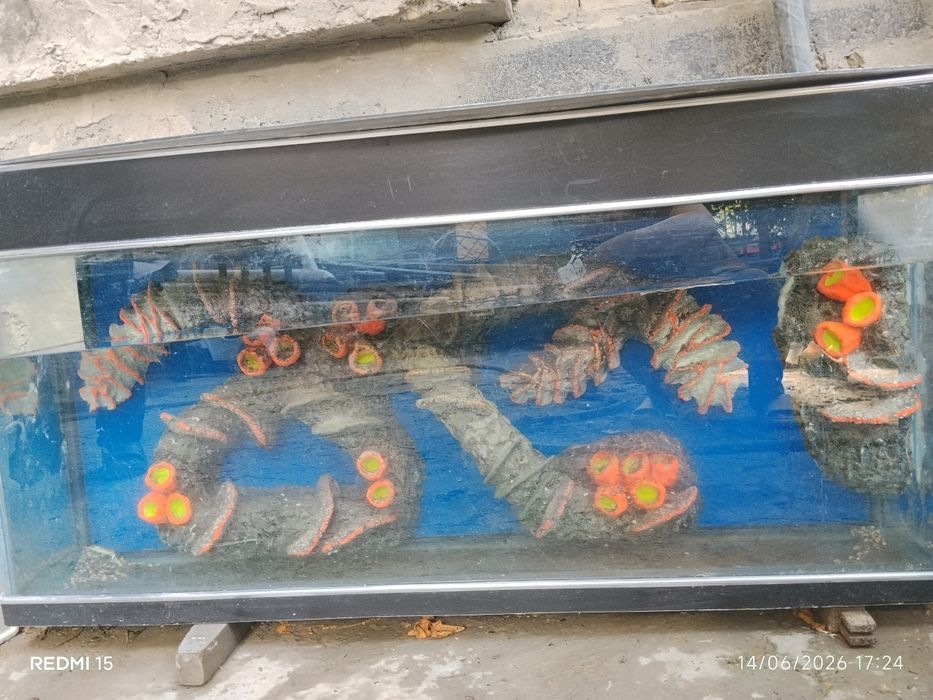 Аквариум сотилади