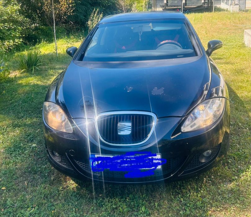 SEAT Leon, an 2007, echipat cu motorul 2.0 TDI