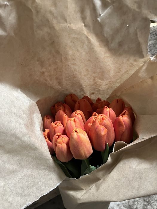 Тюльпаны на 14 февраля и 8 марта