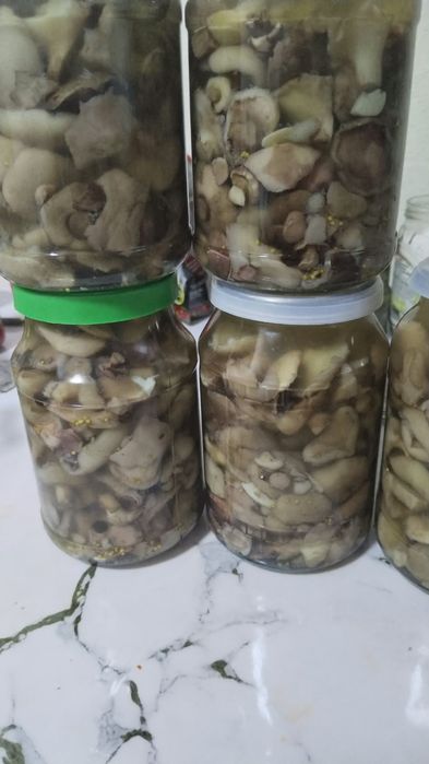 Соленные огурцы сладкого посола