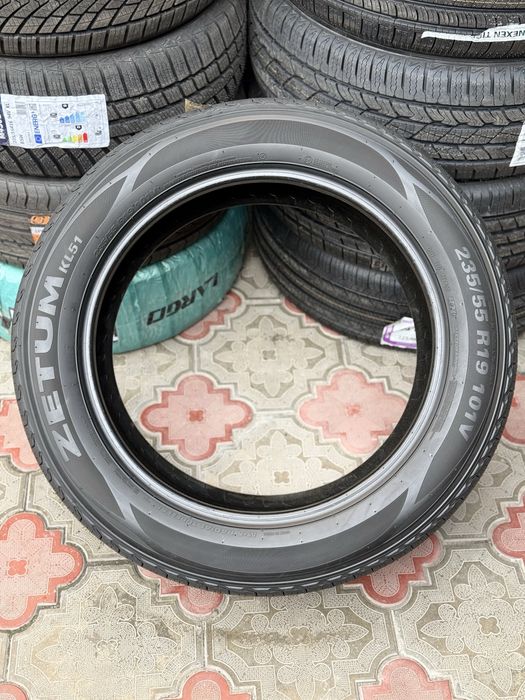 r19 zetum korea  champion/equinox