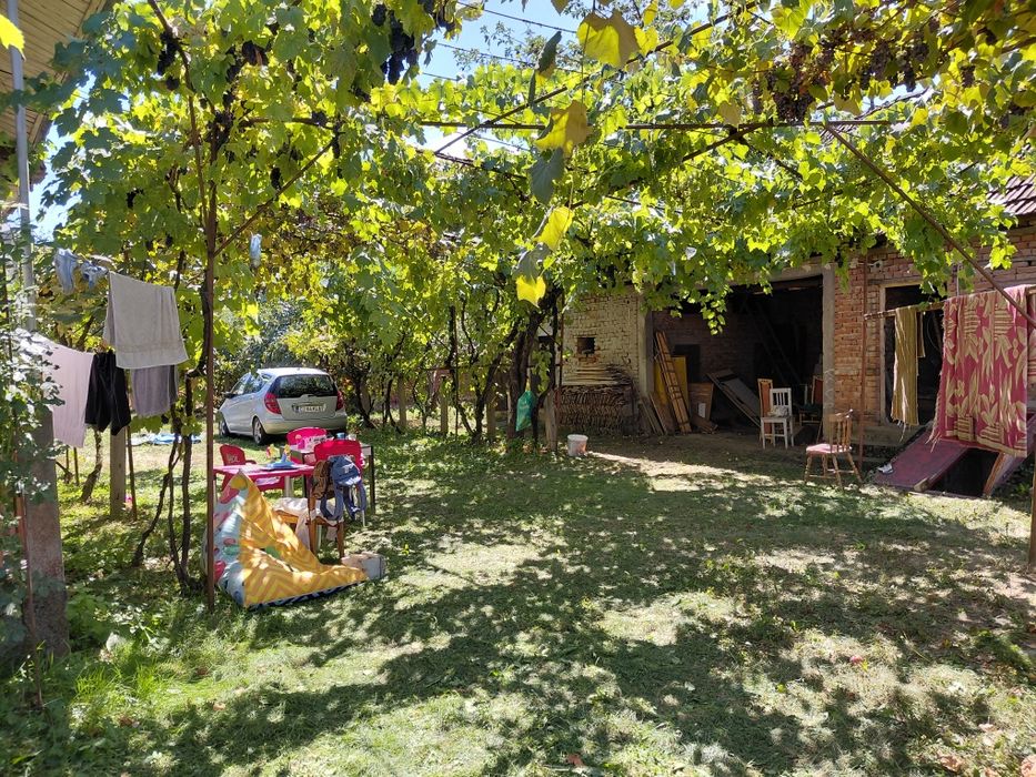 Casa 3 camere + Sura si anexe