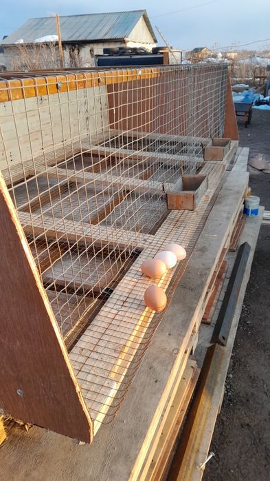 Продам клетку для перепёлок