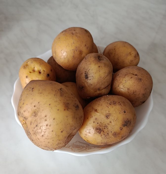 Картофель домашний