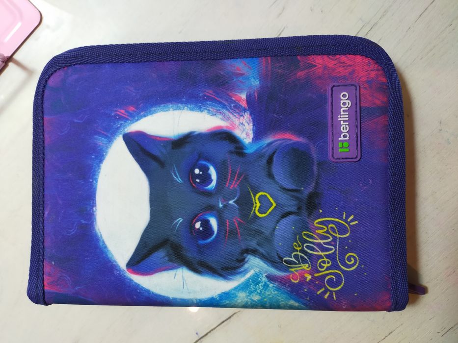 Пенал для девочки