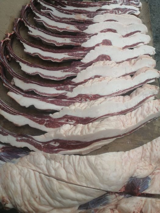 Согым на любые мероприятия