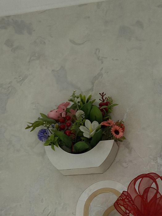 Декоративные растения