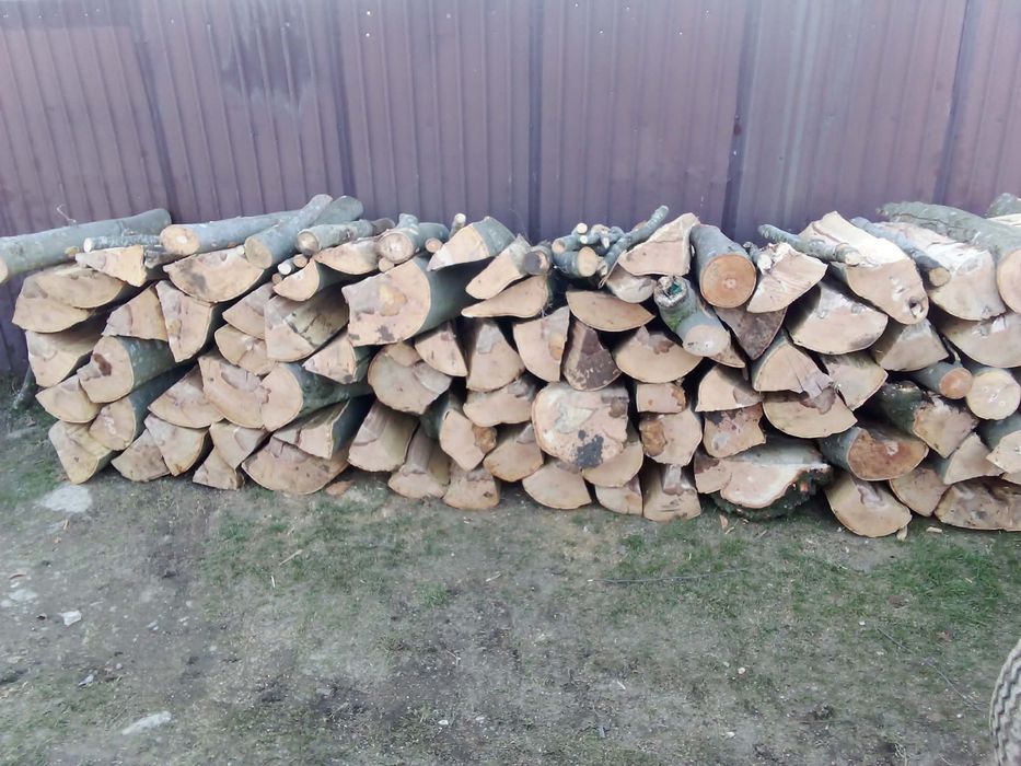 Lemne foc esenta tare (fag si carpen)