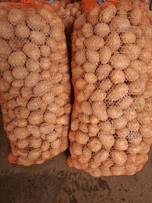 Cartofi pentru animale