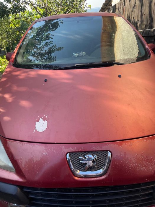 PEUGEOT 307 0