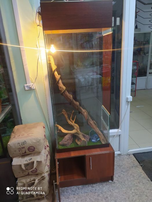 Террариум для рептилий