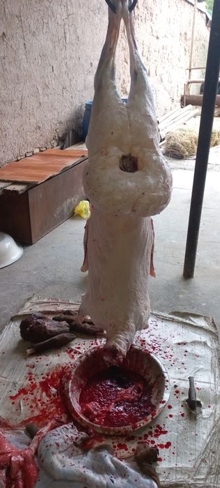 Идеал кассоб хизмати