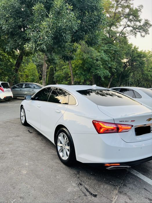 Malibu preimer 2022 Top toza