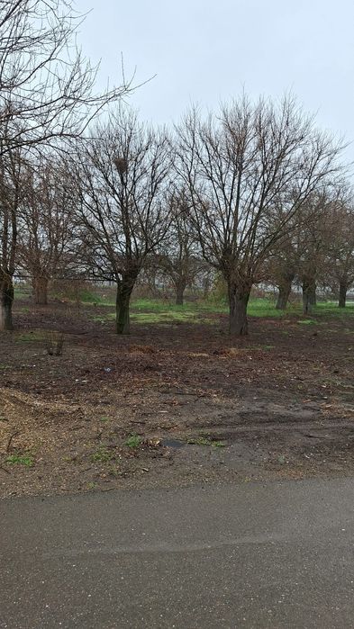 Teren intravilan 982 mp, 2 fronturi – Orțișoara, utilități complete