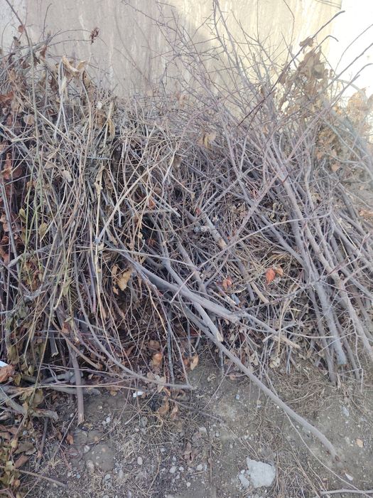 Утин сотилади нархини келишамиз