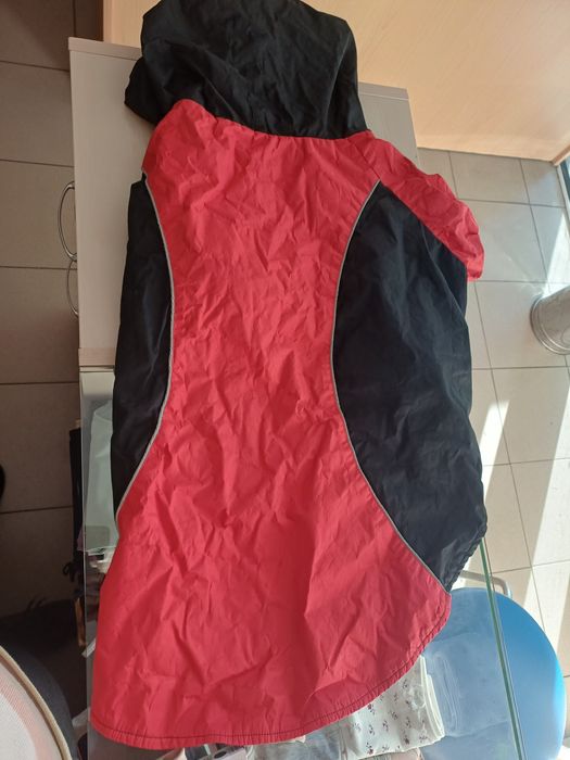 Яке за куче запазено