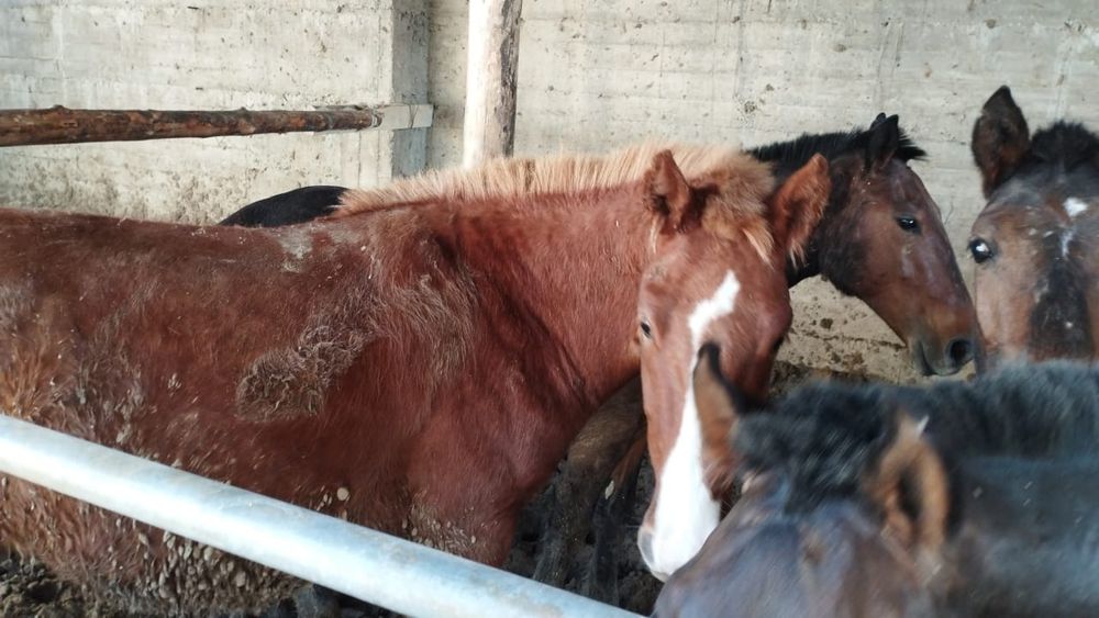 Видео секс орыс дом папа қызы