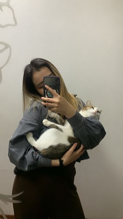 Кошка очень чистая спокойная