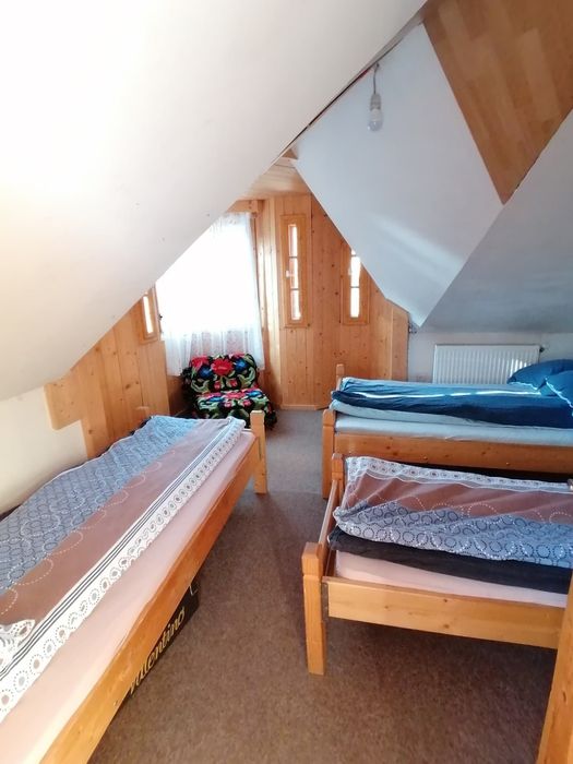 Cabana Revelion 2026 Statiunea Muntele Baisorii