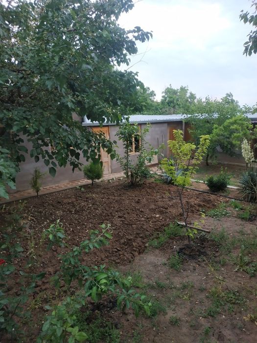 Xovli uy joy sotiladi