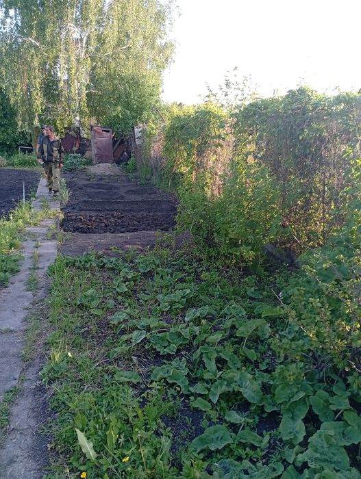 Продам дачу в новой-бухтарме