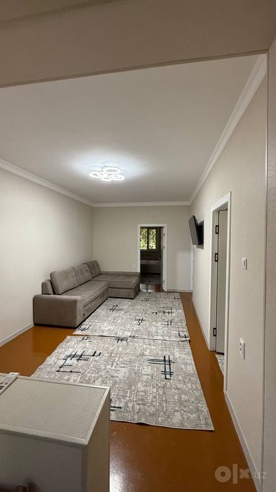 Arenda kvarteta chilonzor arentir rvidi 9 kv