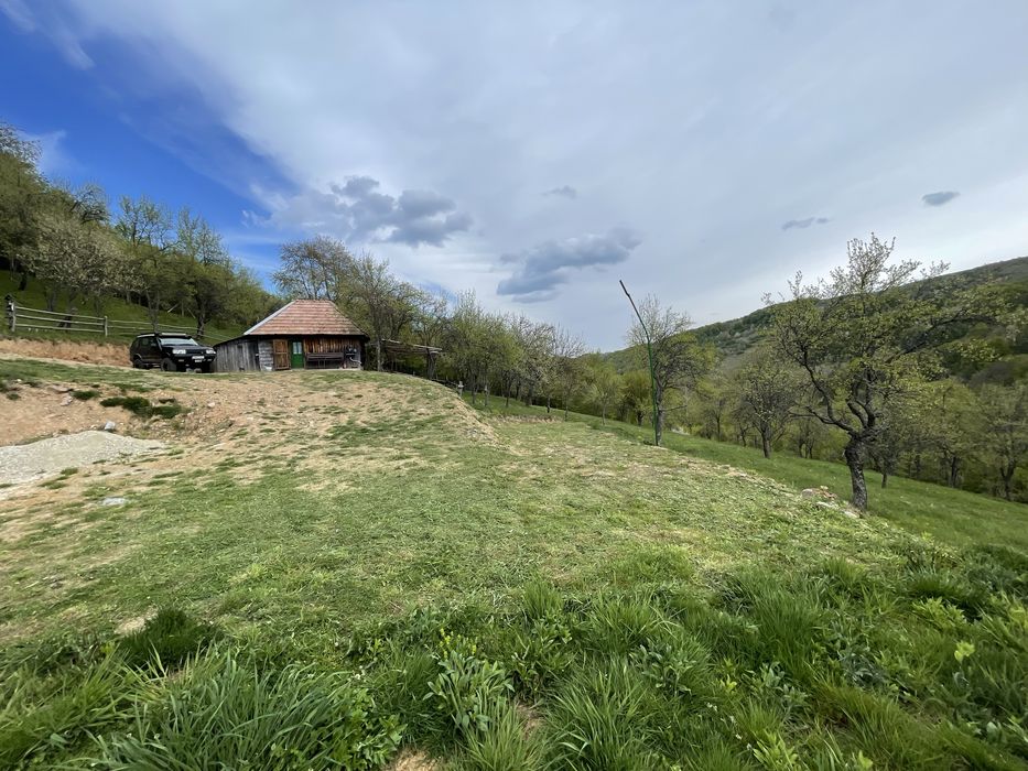 Casa ,livada si padure in com batrana jud hunedoara tinutul padurenilor
