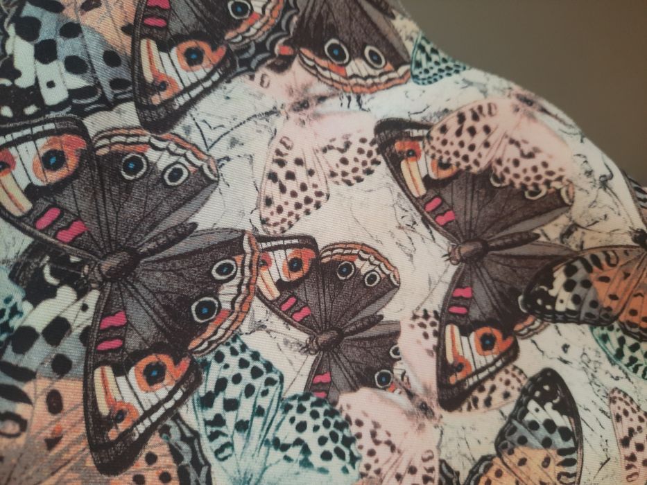 Maiou Stradivarius S