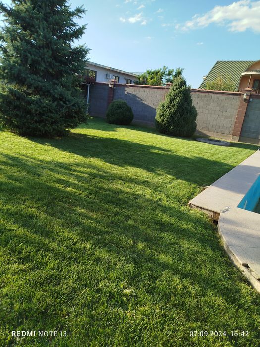 Садовник Каскелен обрезка деревьев