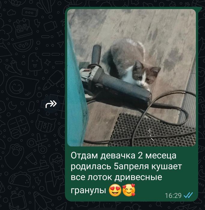 Отдам в добрые руки