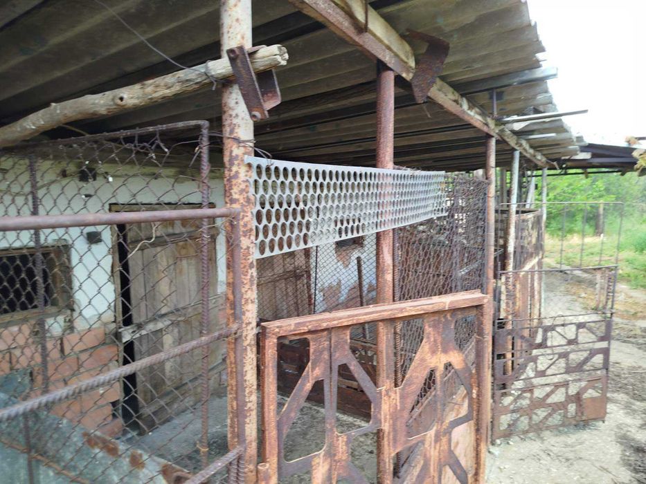 Продава се Къща в с. Обнова, Област Плевен - 200 кв.м за 210 €/кв.м - Снимка #9