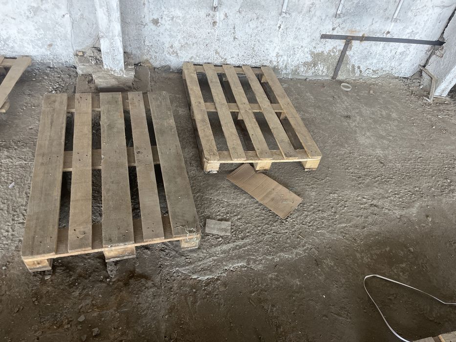 Поддон продам евро!!