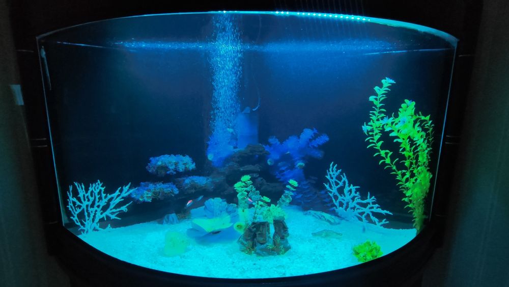 Аквариум угловой