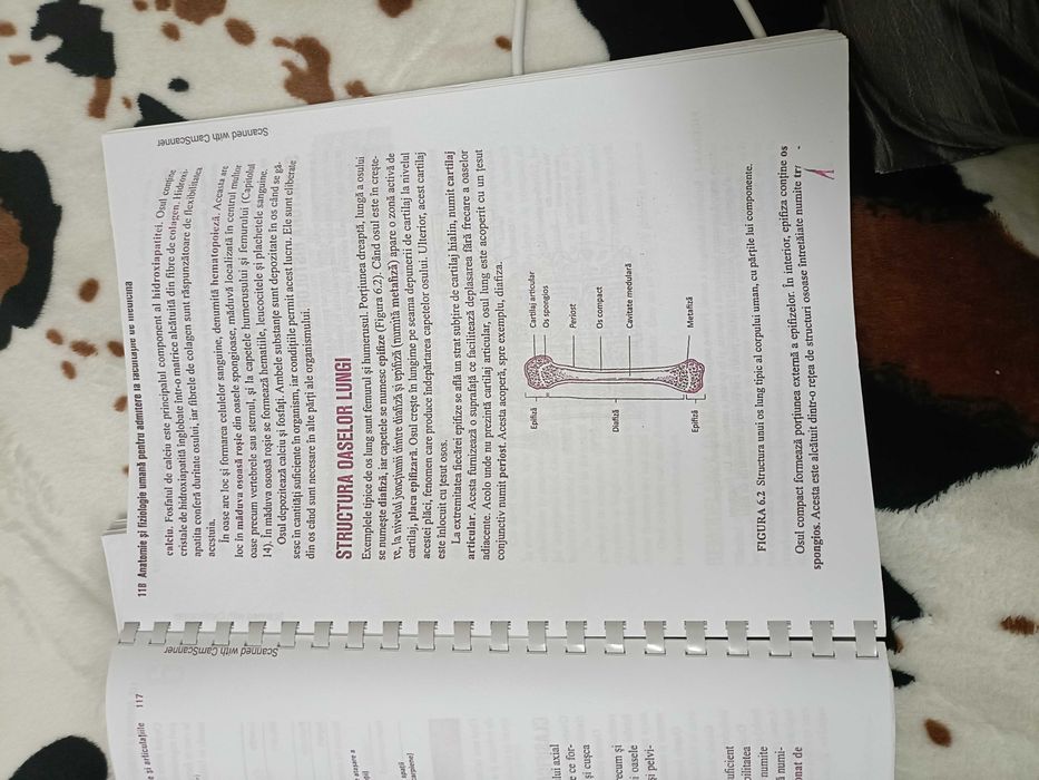 Carte Baron's Anatomia și fiziologia umană Admitere medicină.