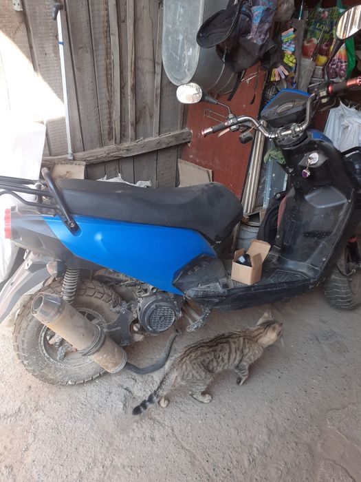 Педа бумер мопедос