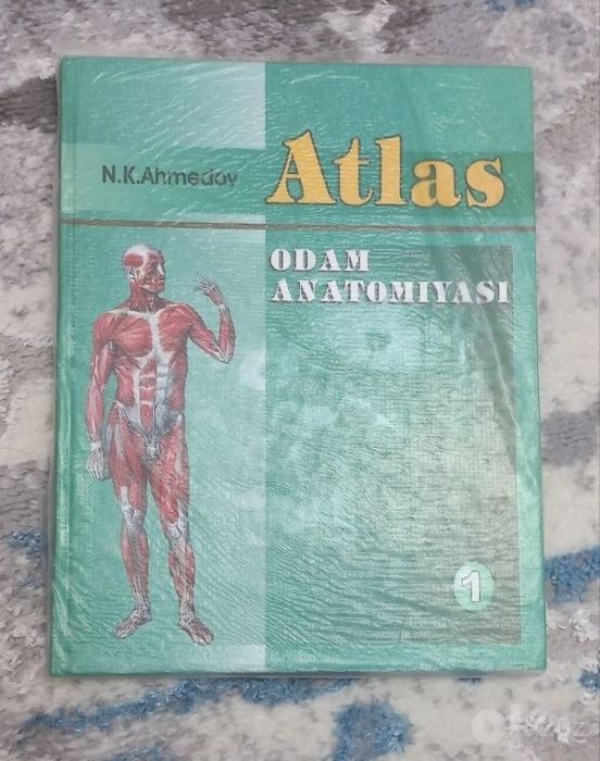 Анатомия человека